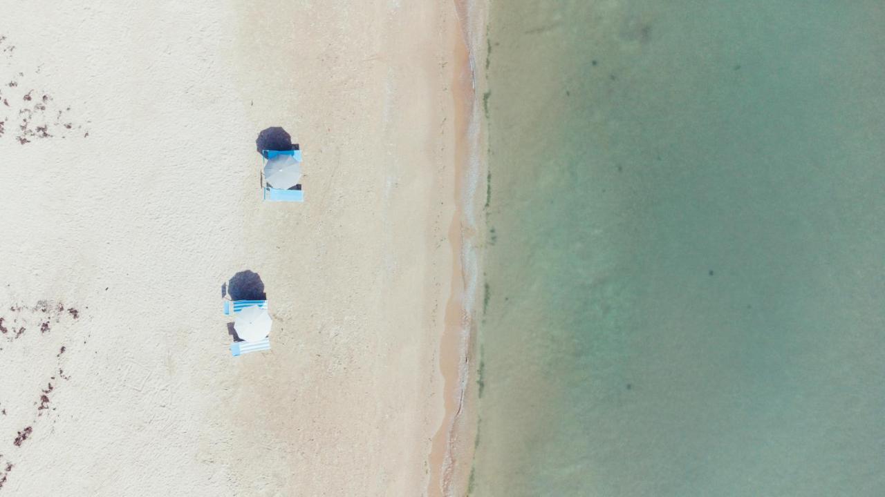B&B Il Mare In Una Stanza オルトーナ エクステリア 写真